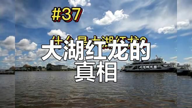 大湖紅龍的主要產(chǎn)地在哪里？