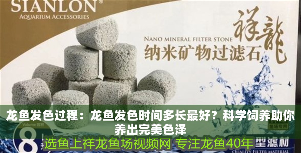 龍魚發色過程：龍魚發色時間多長最好？科學飼養助你養出完美色澤