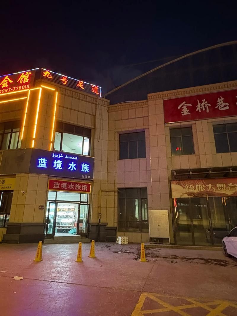 庫車開水族店怎么樣？加盟祥龍魚場賣龍魚市場怎樣？