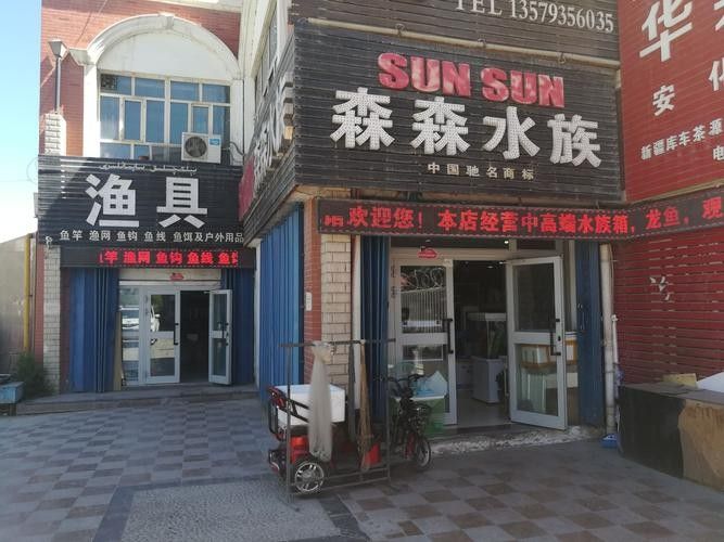 庫車開水族店怎么樣？加盟祥龍魚場賣龍魚市場怎樣？