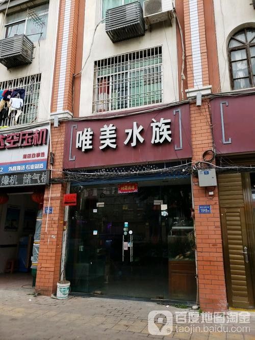 黃石開水族店怎么樣？加盟祥龍魚場賣龍魚市場怎樣？ 黃石開水族店怎么樣？加盟祥龍魚場賣龍魚市場怎樣？ 水族館百科（水族館加盟） 第1張