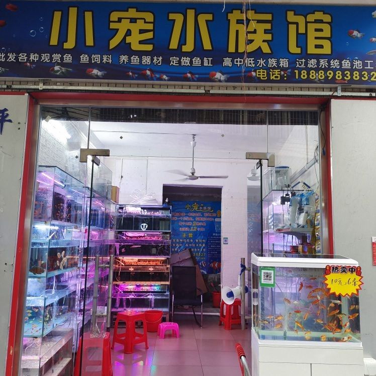 海口開水族店怎么樣？加盟祥龍魚場賣龍魚市場怎樣？