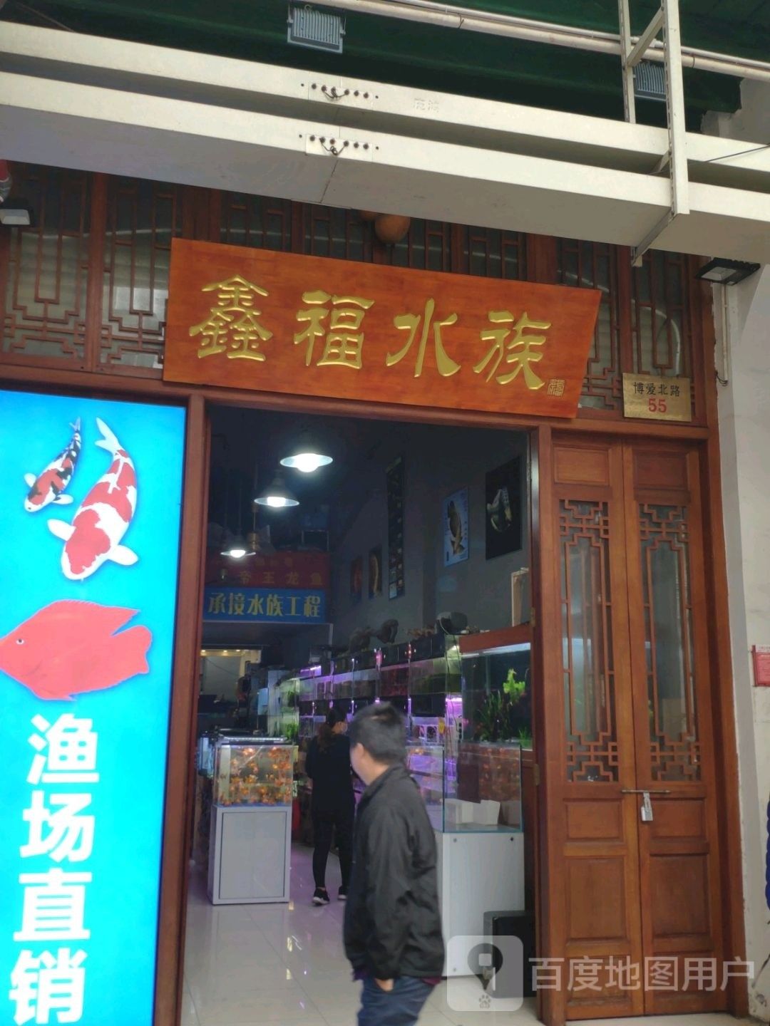 海口開水族店怎么樣？加盟祥龍魚場賣龍魚市場怎樣？