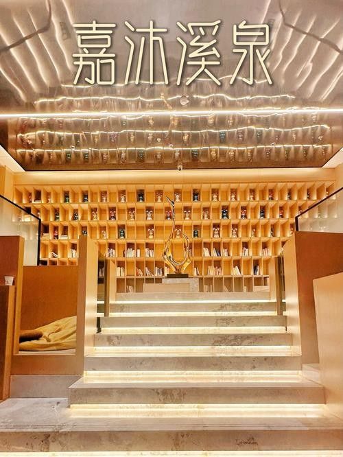 文圣開水族店怎么樣？加盟祥龍魚場(chǎng)賣龍魚市場(chǎng)怎樣？