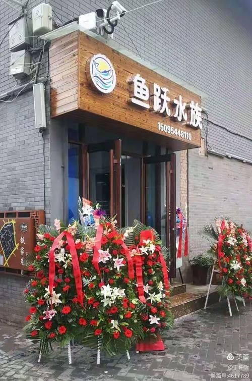 臨夏縣開水族店怎么樣？加盟祥龍魚場賣龍魚市場怎樣？