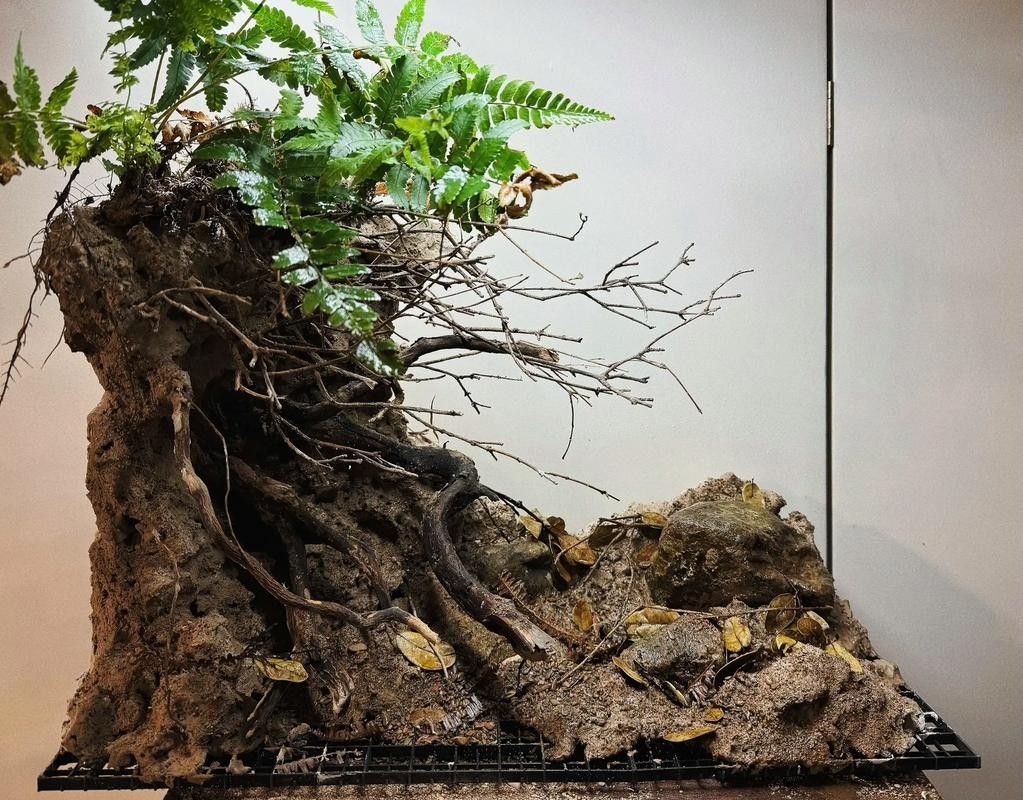 雷龍魚缸造景圖片欣賞 龍魚百科 第5張 雷龍魚缸造景圖片欣賞 雷龍魚缸造景圖片欣賞 龍魚百科 第5張