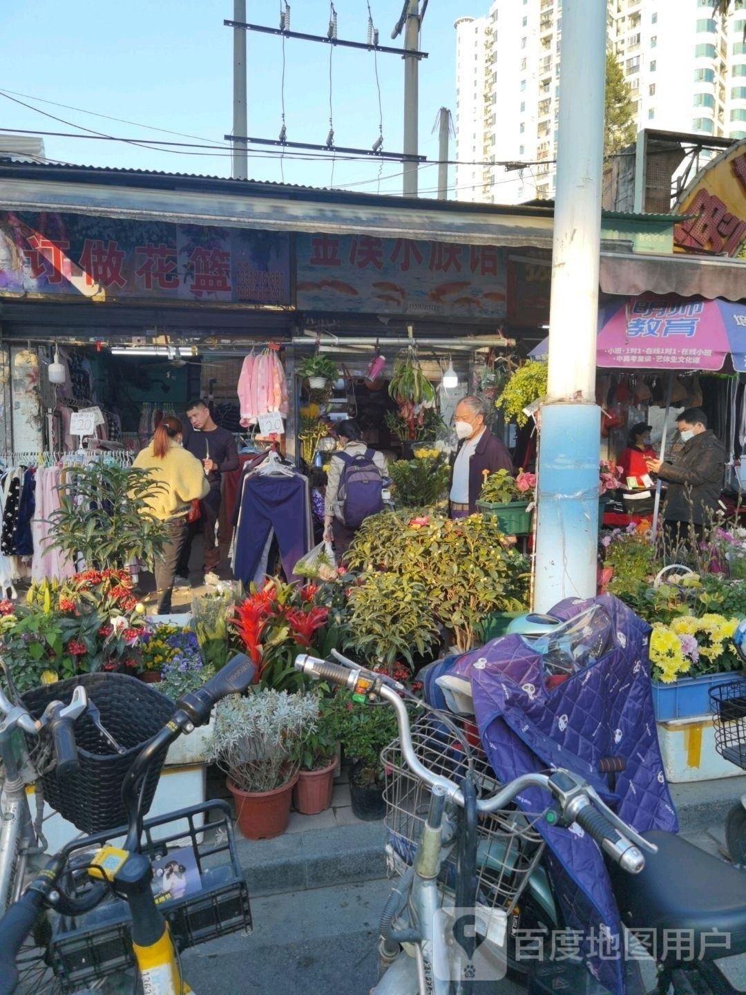 金溪開水族店怎么樣？加盟祥龍魚場賣龍魚市場怎樣？