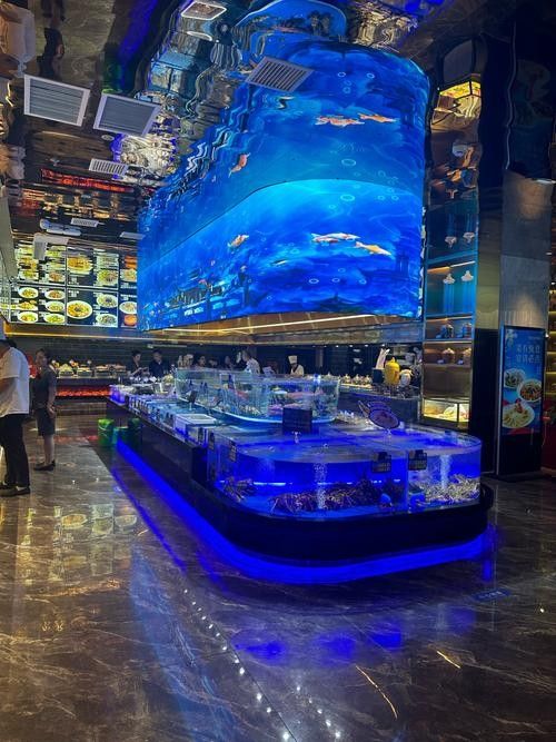 西昌開水族店怎么樣？加盟祥龍魚場賣龍魚市場怎樣？