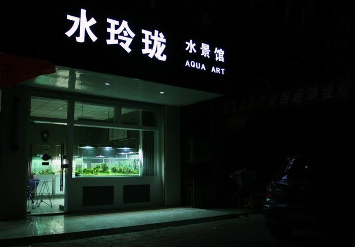 上甘嶺開水族店怎么樣？加盟祥龍魚場(chǎng)賣龍魚市場(chǎng)怎樣？