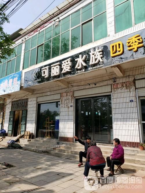 廣平開水族店怎么樣？加盟祥龍魚場賣龍魚市場怎樣？