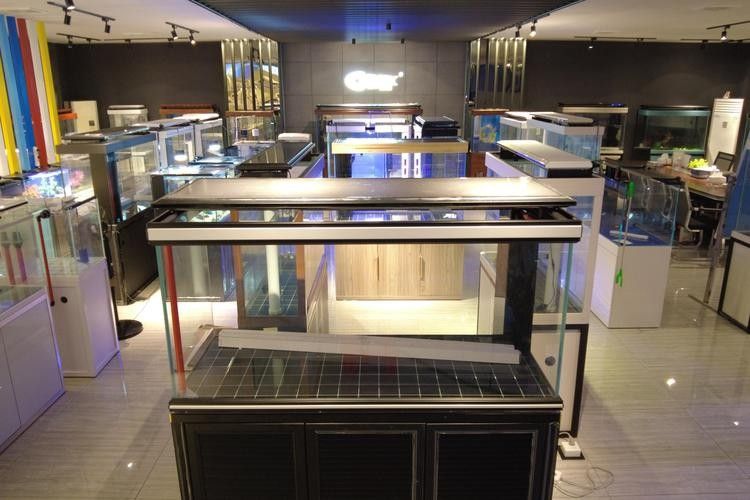 中山開水族店怎么樣？加盟祥龍魚場賣龍魚市場怎樣？