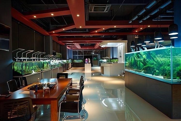 隨縣開水族店怎么樣？加盟祥龍魚場賣龍魚市場怎樣？