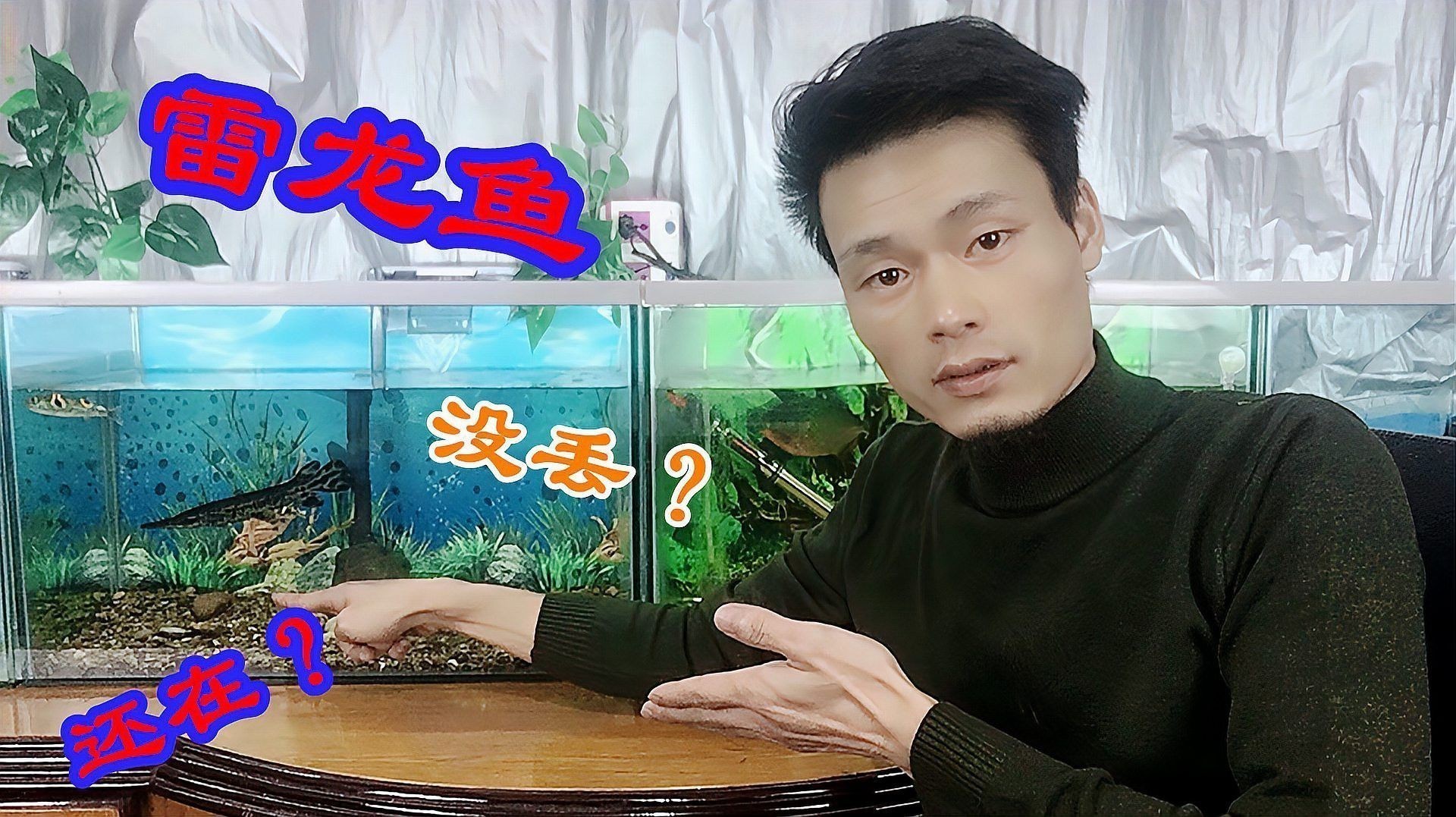 好看的雷龍魚品種