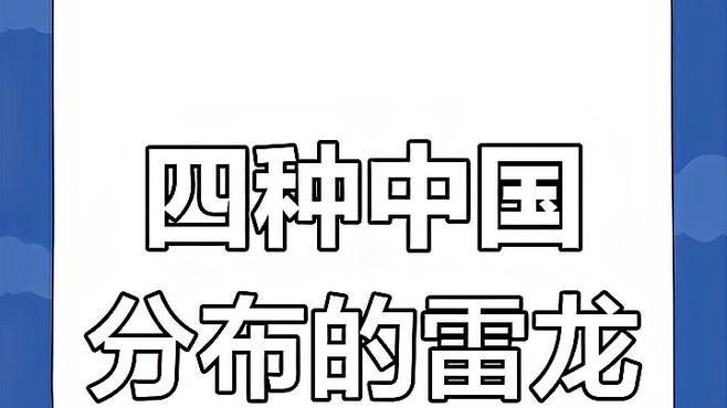 好看的雷龍魚品種