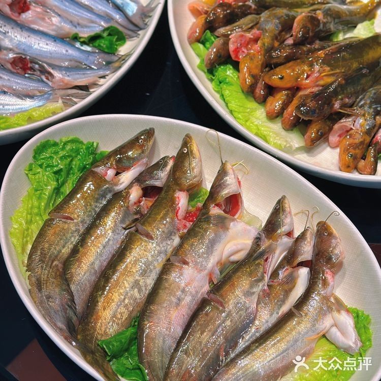 南江開水族店怎么樣？加盟祥龍魚場賣龍魚市場怎樣？