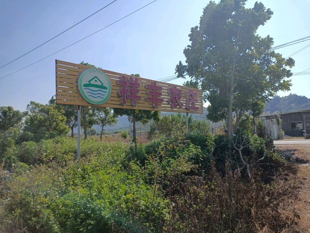 洮北開水族店怎么樣？加盟祥龍魚場賣龍魚市場怎樣？