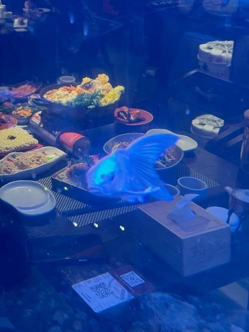 德陽開水族店怎么樣？加盟祥龍魚場賣龍魚市場怎樣？