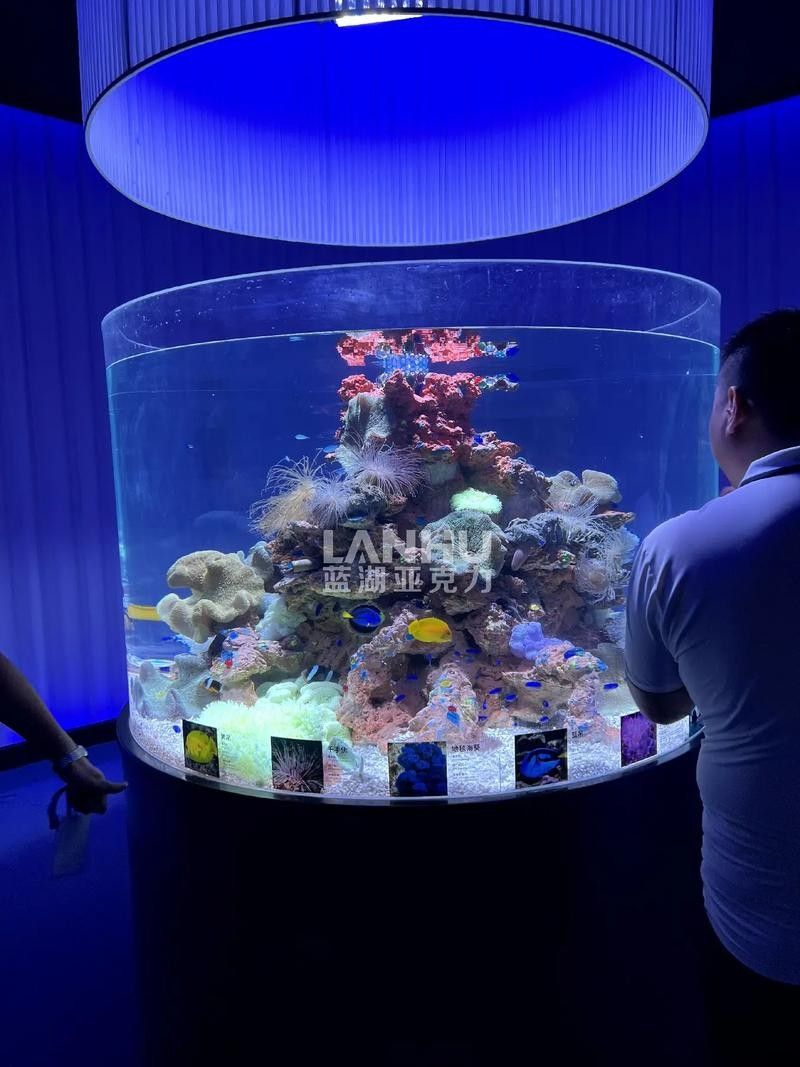 鳳山開水族店怎么樣？加盟祥龍魚場賣龍魚市場怎樣？
