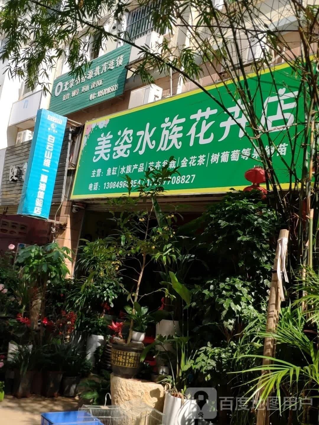 扶綏開水族店怎么樣？加盟祥龍魚場賣龍魚市場怎樣？ 扶綏開水族店怎么樣？加盟祥龍魚場賣龍魚市場怎樣？ 水族館百科（水族館加盟） 第2張