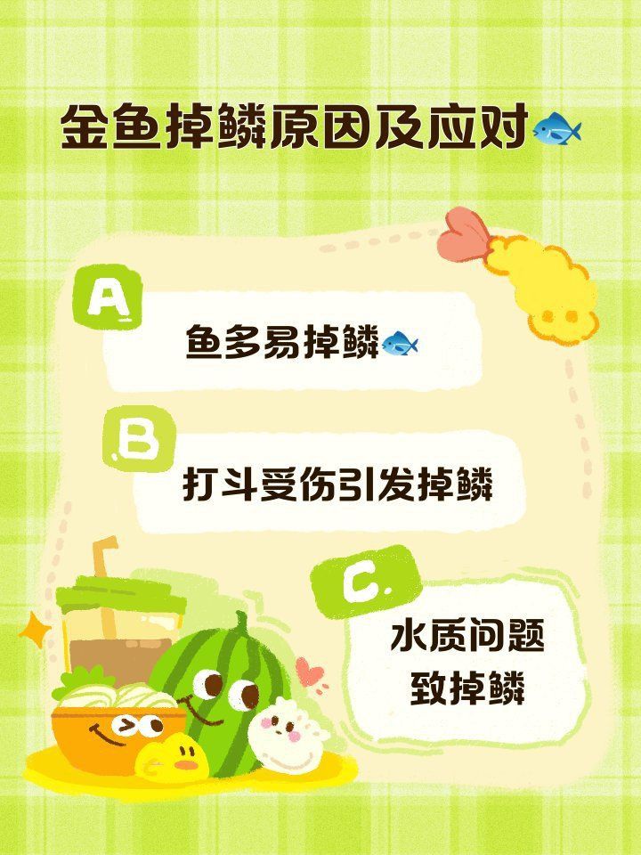 金魚鱗掉了會自愈嗎