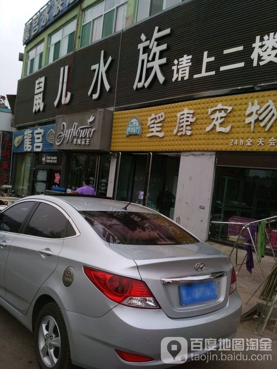 孝義開水族店怎么樣？加盟祥龍魚場賣龍魚市場怎樣？