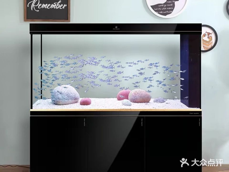 孝義開水族店怎么樣？加盟祥龍魚場賣龍魚市場怎樣？