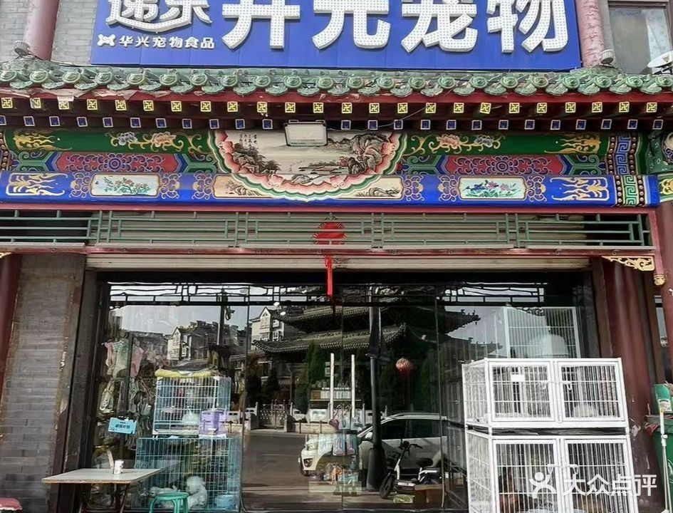 孝義開水族店怎么樣？加盟祥龍魚場賣龍魚市場怎樣？