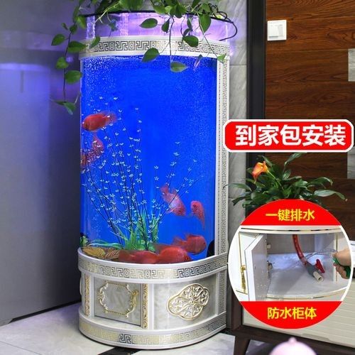 岳普湖開(kāi)水族店怎么樣？加盟祥龍魚(yú)場(chǎng)賣(mài)龍魚(yú)市場(chǎng)怎樣？
