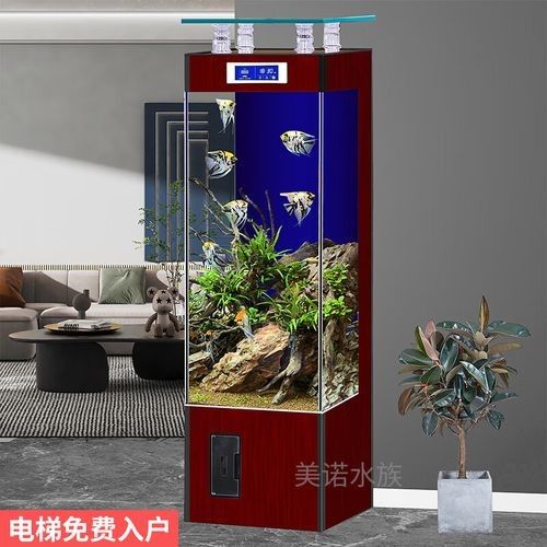 岳普湖開(kāi)水族店怎么樣？加盟祥龍魚(yú)場(chǎng)賣(mài)龍魚(yú)市場(chǎng)怎樣？