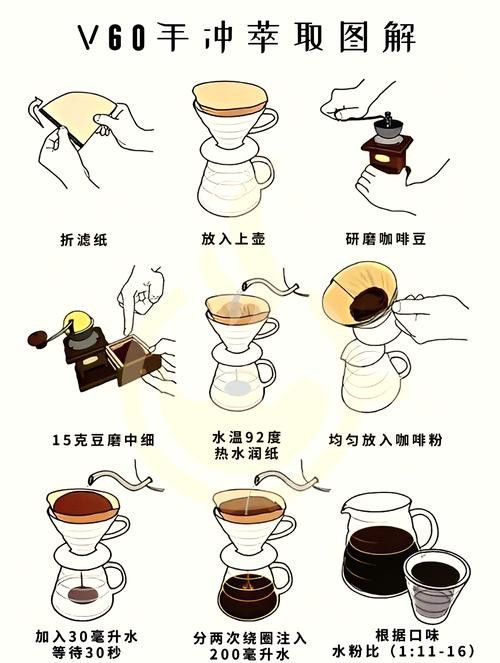 金龍魚一比一比一