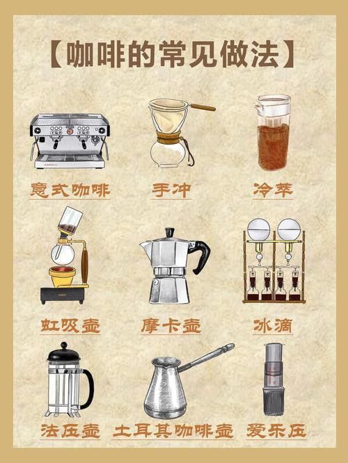 金龍魚一比一比一