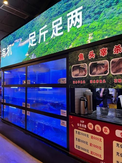 云和開水族店怎么樣？加盟祥龍魚場賣龍魚市場怎樣？