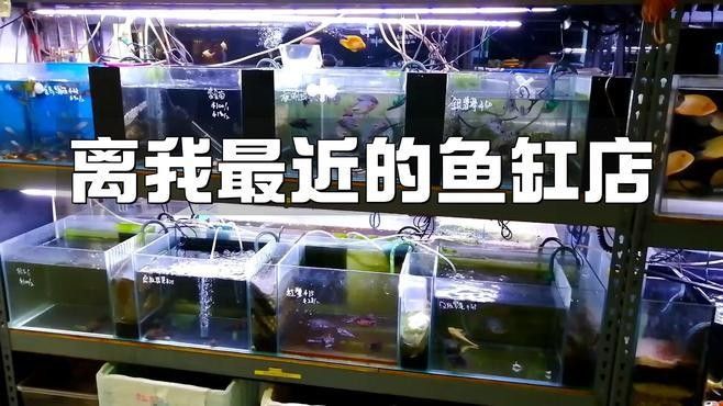 云和開水族店怎么樣？加盟祥龍魚場賣龍魚市場怎樣？