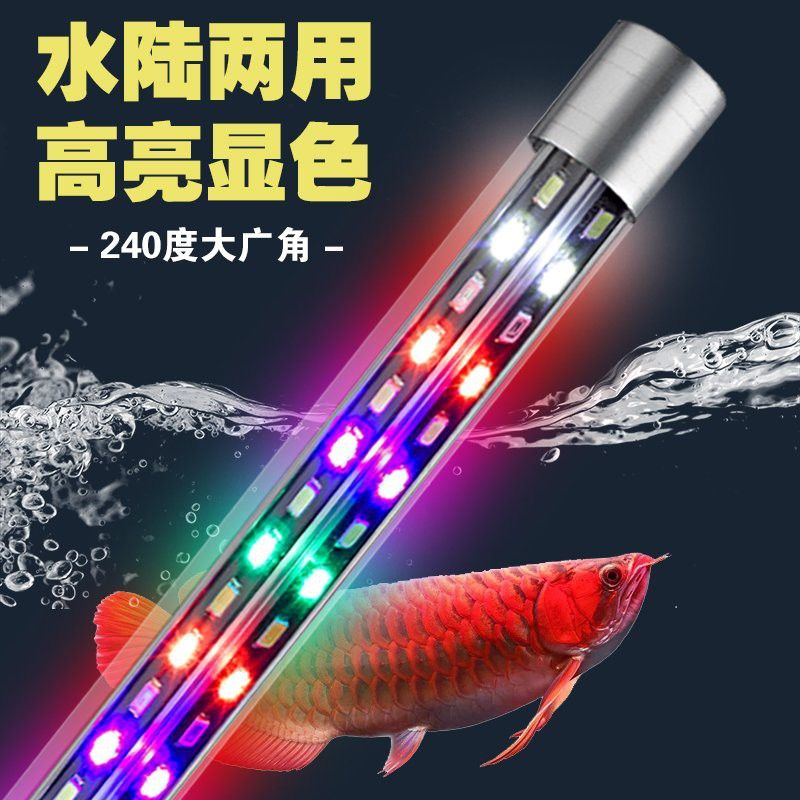 如何延長過背金龍魚燈的使用壽命？