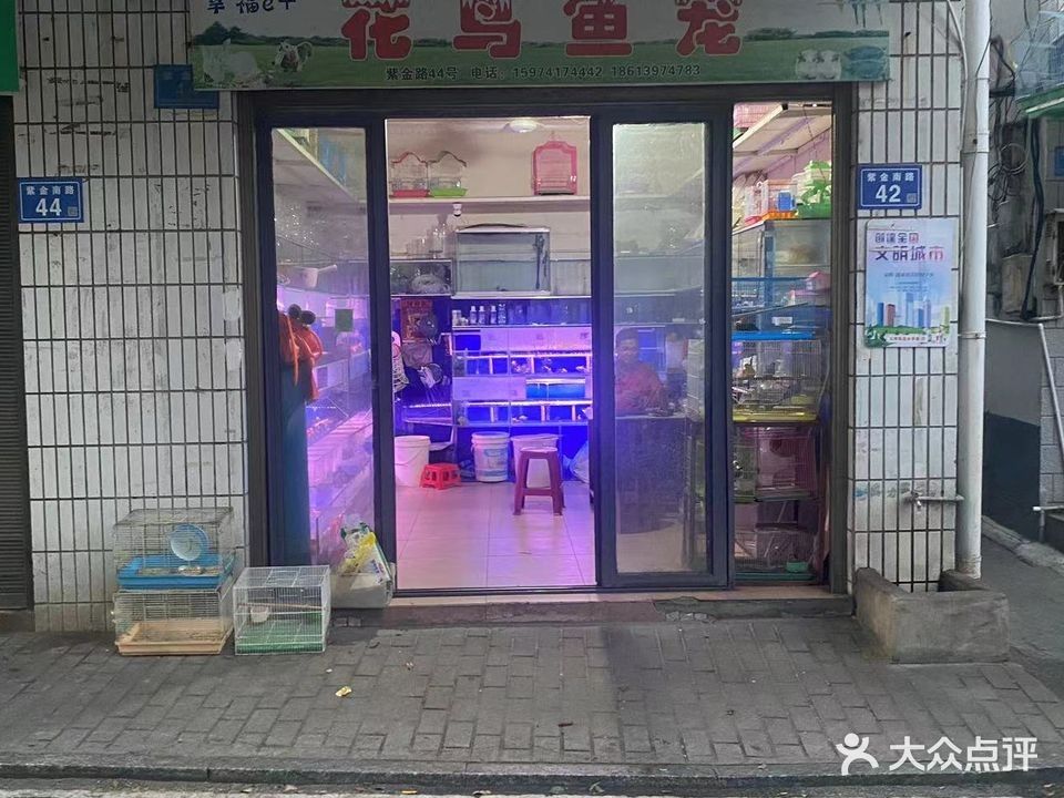 寧鄉開水族店怎么樣？加盟祥龍魚場賣龍魚市場怎樣？