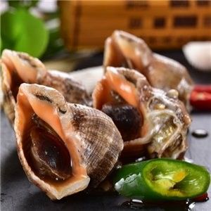 海寧開水族店怎么樣？加盟祥龍魚場賣龍魚市場怎樣？ 海寧開水族店怎么樣？加盟祥龍魚場賣龍魚市場怎樣？ 水族館百科（水族館加盟） 第14張