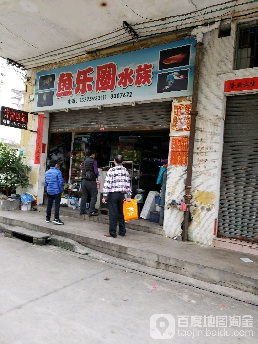 鶴山開水族店怎么樣？加盟祥龍魚場賣龍魚市場怎樣？