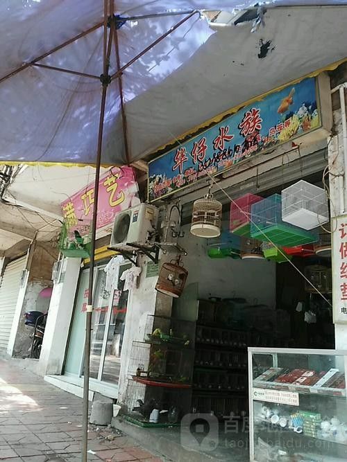 赤水開水族店怎么樣？加盟祥龍魚場賣龍魚市場怎樣？