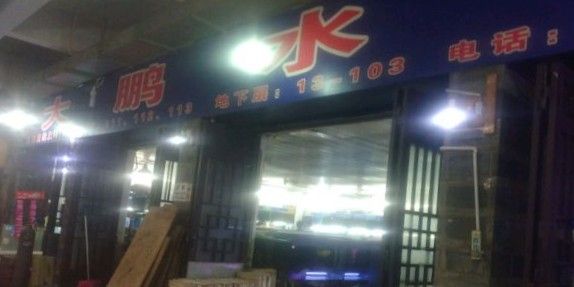 昆明開水族店怎么樣？加盟祥龍魚場賣龍魚市場怎樣？