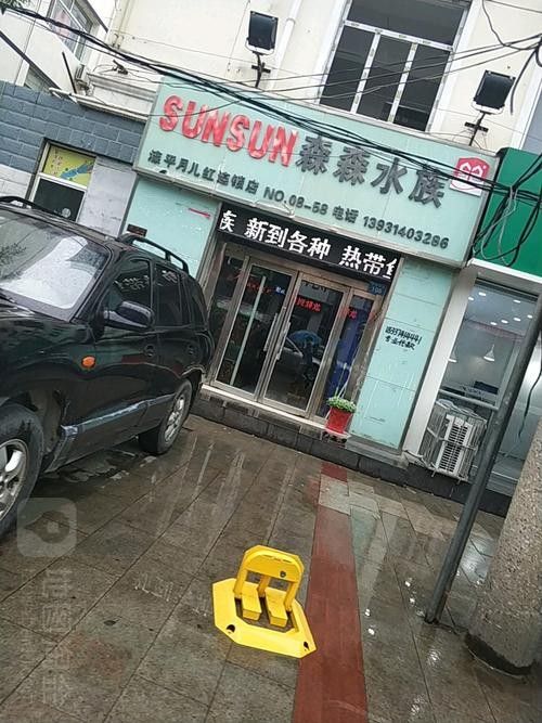 灤平開水族店怎么樣？加盟祥龍魚場賣龍魚市場怎樣？