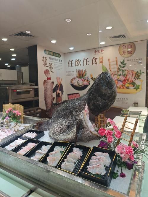 灤平開水族店怎么樣？加盟祥龍魚場賣龍魚市場怎樣？