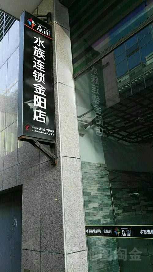 金陽開水族店怎么樣？加盟祥龍魚場賣龍魚市場怎樣？