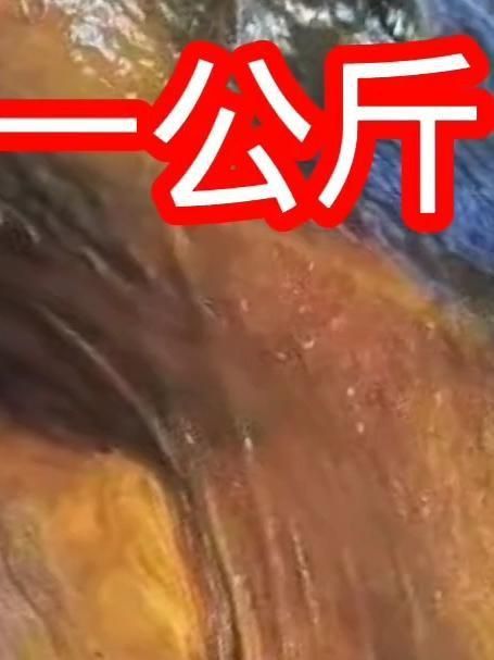鯉魚最貴三個品種