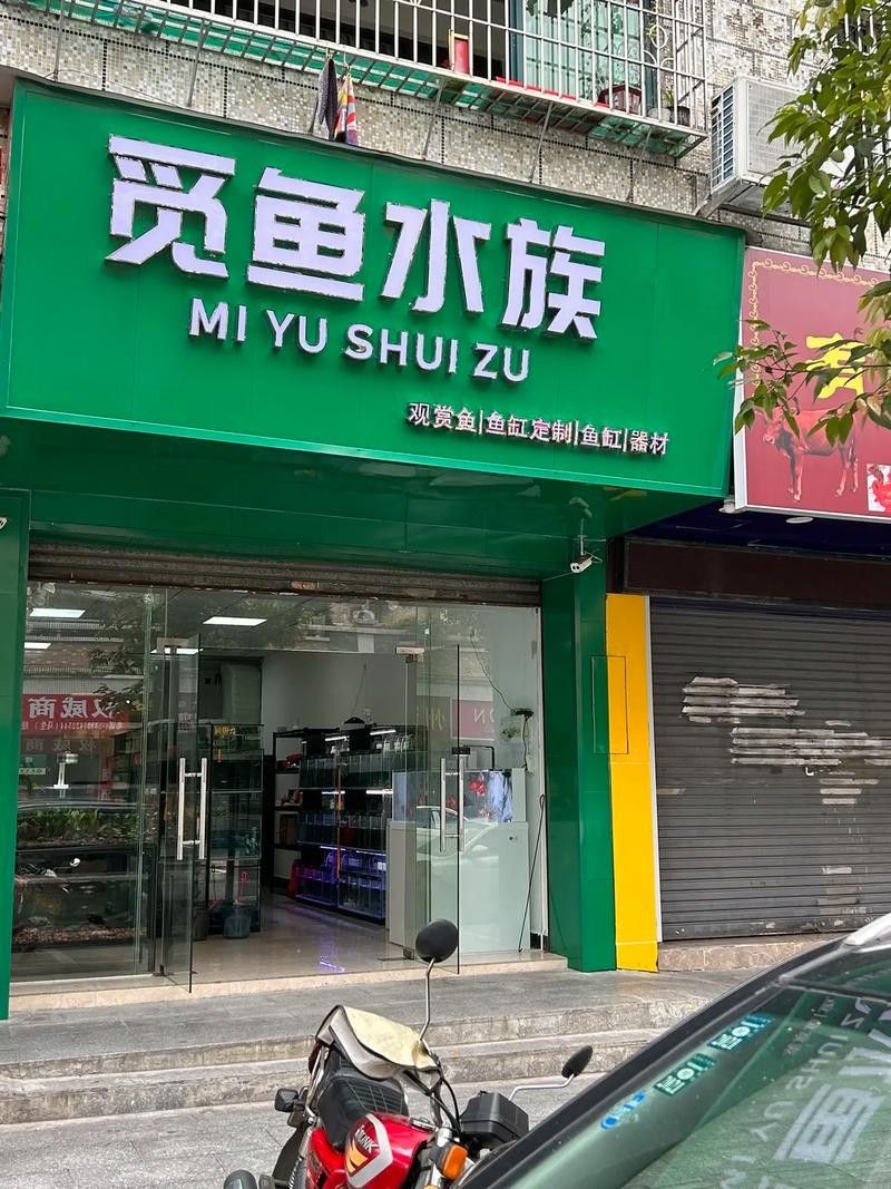 岳塘開水族店怎么樣？加盟祥龍魚場賣龍魚市場怎樣？