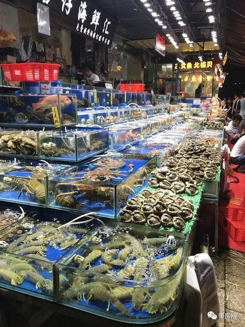 肇慶開水族店怎么樣？加盟祥龍魚場賣龍魚市場怎樣？