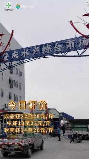 肇慶開水族店怎么樣？加盟祥龍魚場賣龍魚市場怎樣？