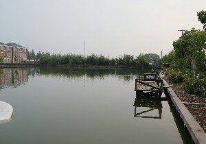 中國哪里能釣到龍魚：中國哪里能釣到龍魚？