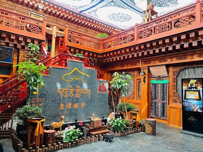甘南州開水族店怎么樣？加盟祥龍魚場賣龍魚市場怎樣？