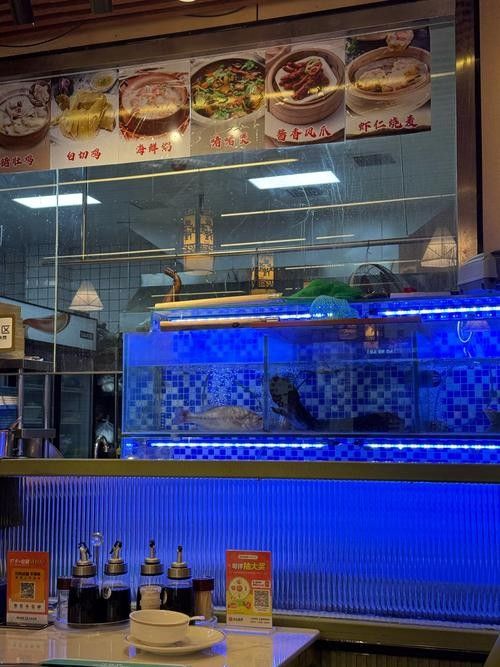 淮上開水族店怎么樣？加盟祥龍魚場賣龍魚市場怎樣？