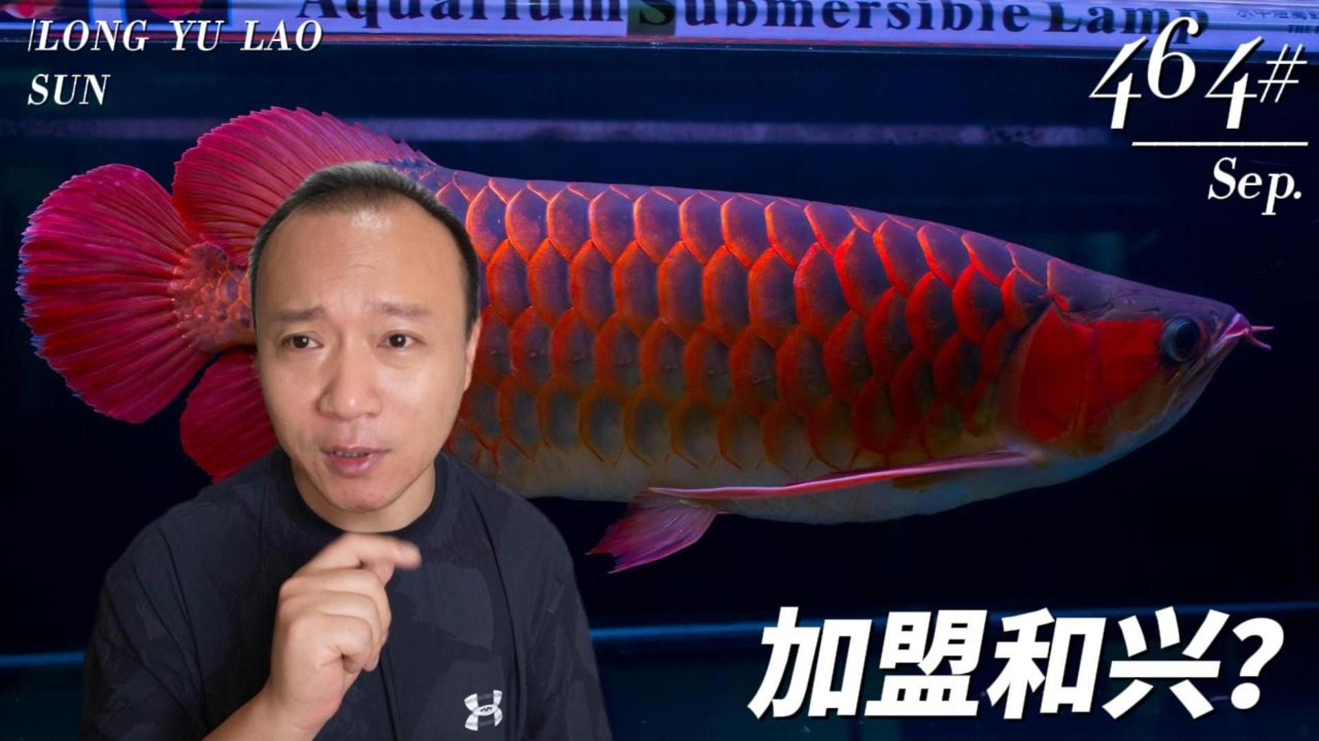 隆昌開水族店怎么樣？加盟祥龍魚場賣龍魚市場怎樣？